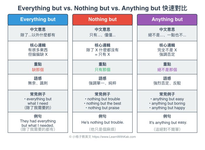 Everything but vs Nothing but vs Anything but 對比
