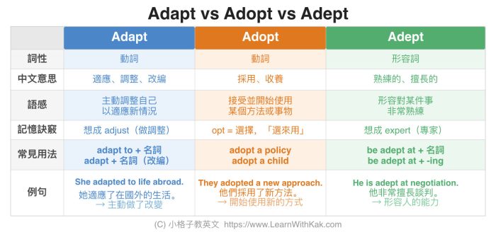 Adapt 中文是「適應」— Adept 和 Adopt 又是什麼？